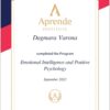 diploma inteligencia emocional